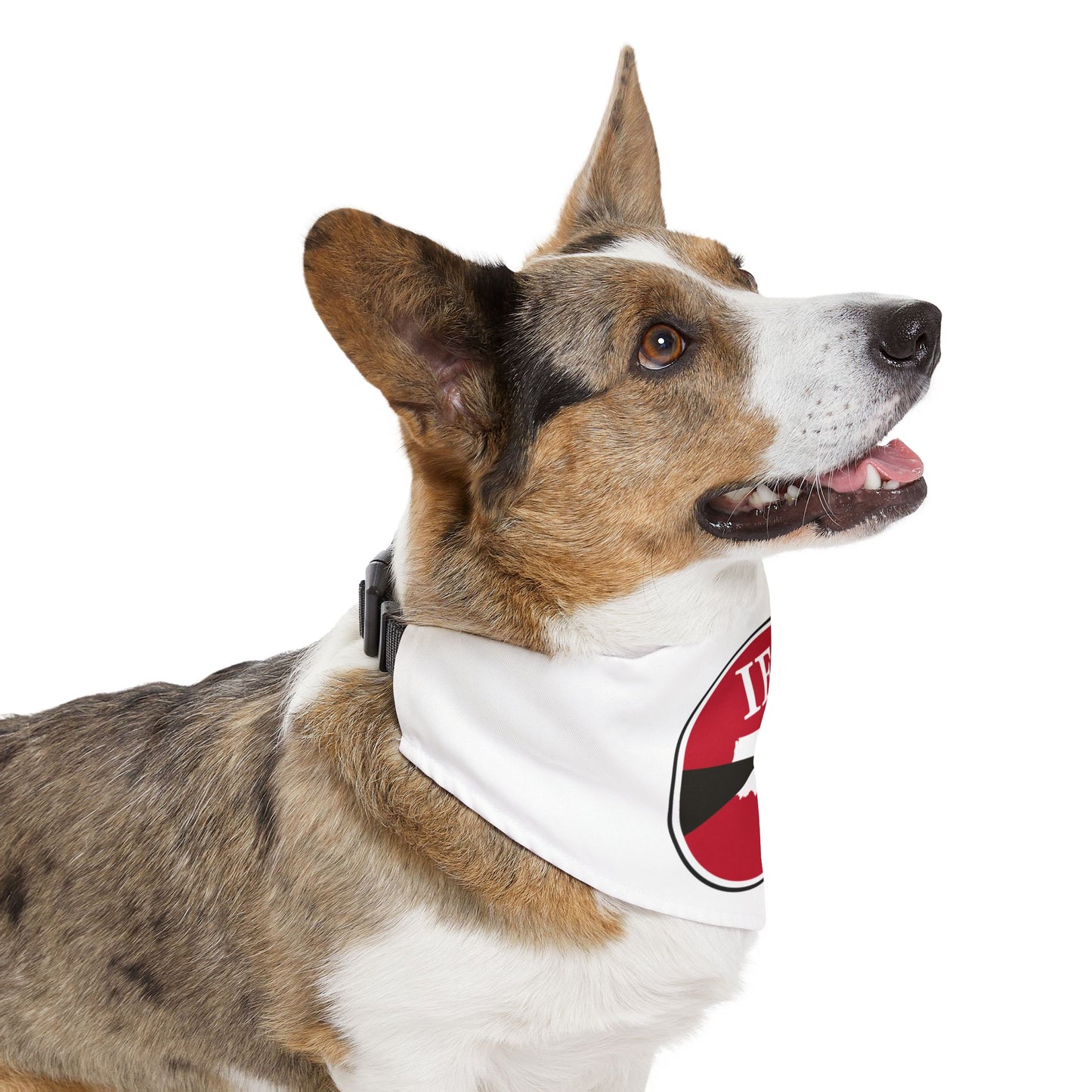 Pet Bandana Collar